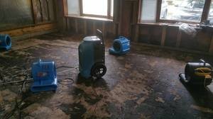 Mold Remediation In Progress